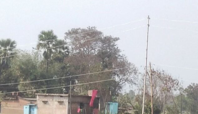 बांस के सहारे बिजली: शंभूगंज के किसानों की मजबूरी, कभी भी हो सकता है बड़ा हादसा